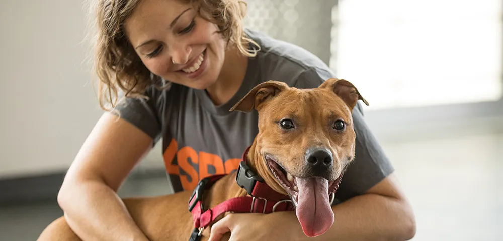A photo of a dog with a person.