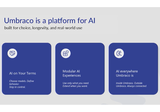 Umbraco Is A Platform For AI built for choice, longevity and real-world use. Below are the bullet points "AI on Your Terms", "Modular AI Experiences" and "AI everywhere Umbraco is"