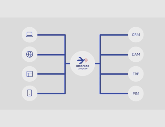Umbraco Compose showing inputs and outputs