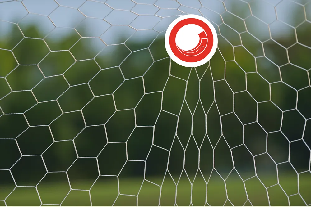 A Sitecore logo on a football scoring a goal and hitting the back of a football net
