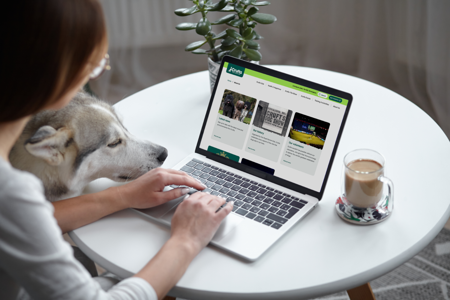 A husky with their owner looking at the Crufts blog page on a laptop device