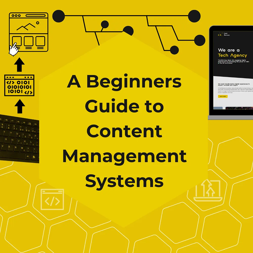 A Beginners Guide To CMS Asset graphic