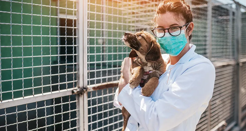 A photo of a dog basking in the sun as it is held by a person caring for them.
