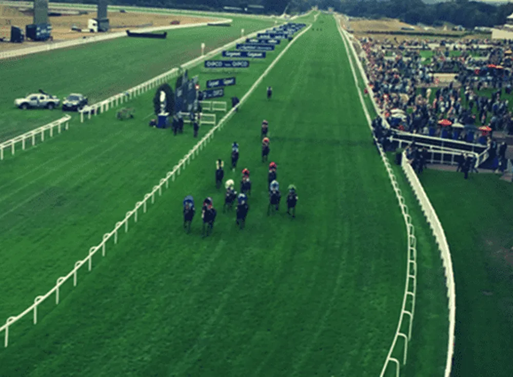 A photo of a horse racing track