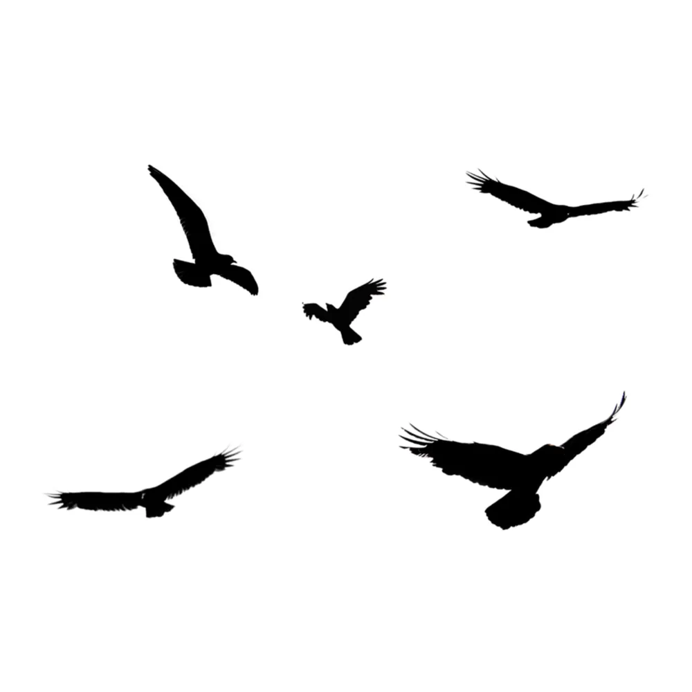 Black silhouettes of 5 birds flying